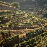 Quinta Do Vale Da Ermida, Private - Heated - Pool