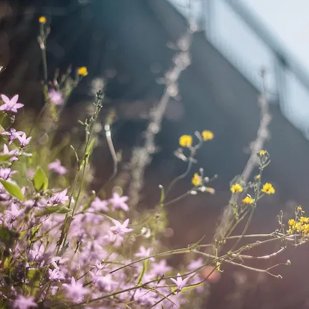 Quinta Do Vale Da Ermida, Private - Heated - Pool Villa