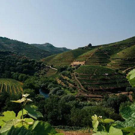 Quinta Do Vale Da Ermida, Private - Heated - Pool