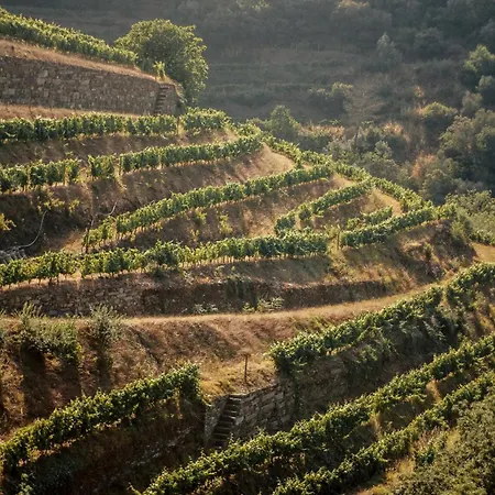 Quinta Do Vale Da Ermida, Private - Heated - Pool