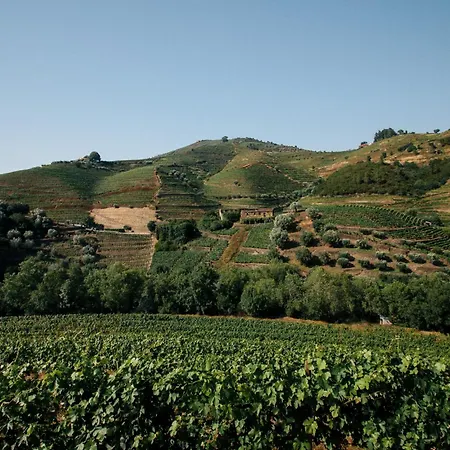 Quinta Do Vale Da Ermida, Private - Heated - Pool Villa Ermida (Vila Real)