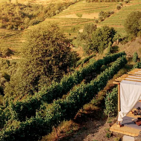 Quinta Do Vale Da Ermida, Private - Heated - Pool Villa *