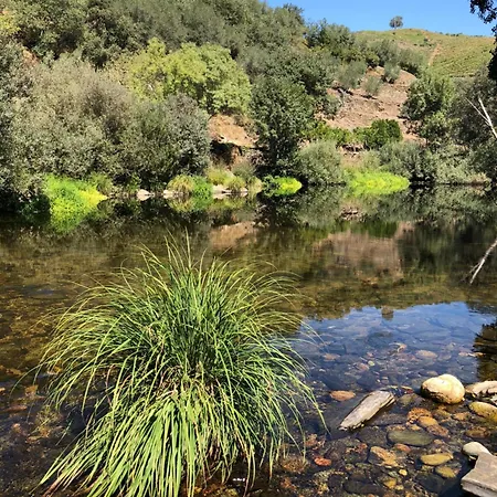 Villa Quinta Do Vale Da Ermida, Private - Heated - Pool *