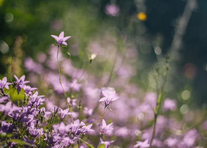 Quinta Do Vale Da Ermida, Private - Heated - Pool Villa