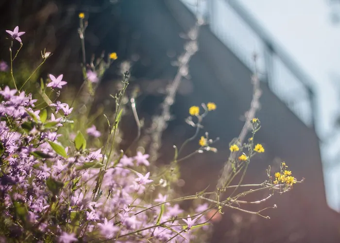 Quinta Do Vale Da Ermida, Private - Heated - Pool Villa