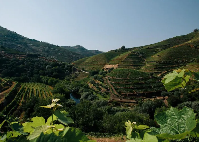 Quinta Do Vale Da Ermida, Private - Heated - Pool