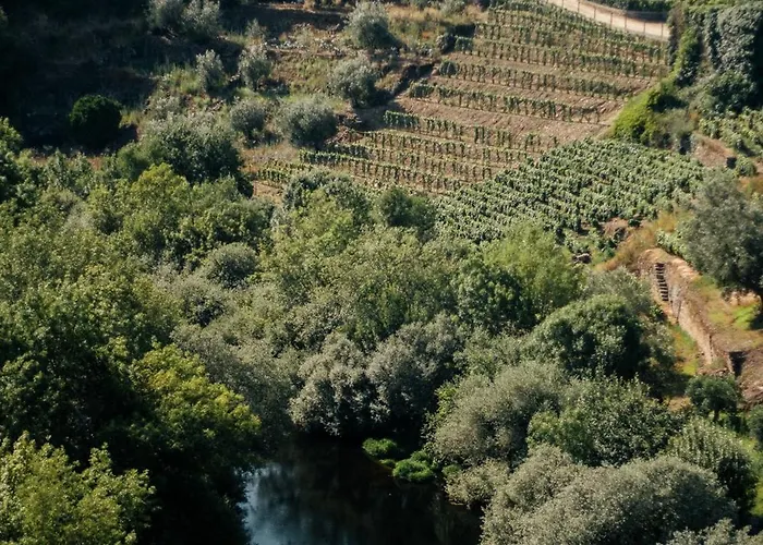 Quinta Do Vale Da Ermida, Private - Heated - Pool *