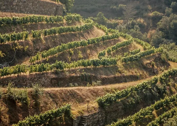 Quinta Do Vale Da Ermida, Private - Heated - Pool