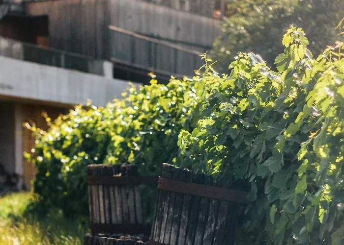 Quinta Do Vale Da Ermida, Private - Heated - Pool