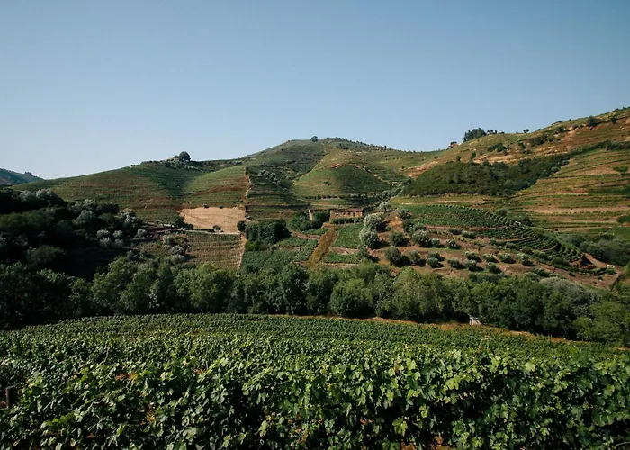 Quinta Do Vale Da Ermida, Private - Heated - Pool Villa Ermida (Vila Real)