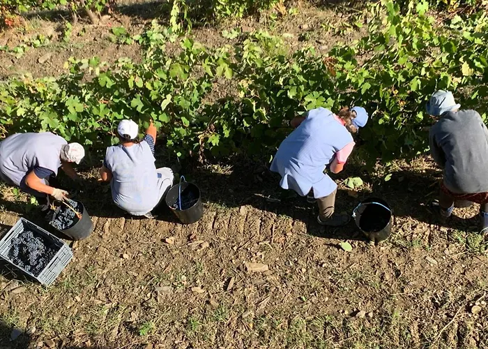 Quinta Do Vale Da Ermida, Private - Heated - Pool * Ermida (Vila Real)