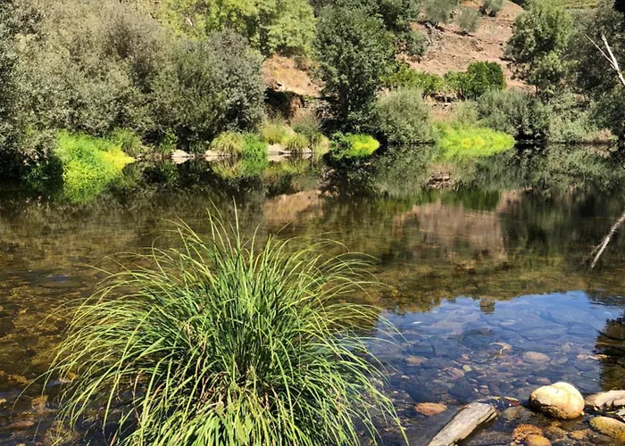 Villa Quinta Do Vale Da Ermida, Private - Heated - Pool *